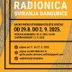 Prijave na radionicu sviranja dangubice u Otočcu