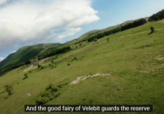 Izašao je prvi rewilding glazbeni spot!