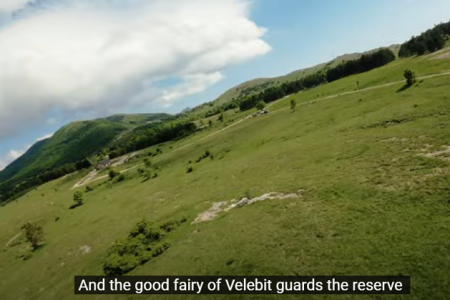 Izašao je prvi rewilding glazbeni spot!