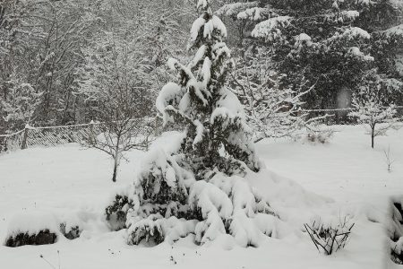 Snijeg “zatrpao” Liku!!!