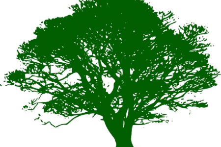 Perušić d.o.o. komunalno društvo iz Perušić uvodi hvale vrjednu demografsku mjeru za pomoć kućanstvima s malom djecom u vidu besplatnih vrećica za pelene za djecu do 3 godine starosti.