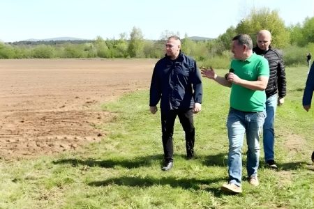 Ministar Vlajčić posadio čuvanu sortu krumpira Koravca u Raduču