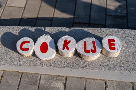 Otvorene prijave za izbor “Naj bećarca“ u sklopu 7. The Coklje festa
