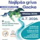 Otočac domaćin izložbe hrvatskih hladnokrvnjaka i odabira pastuha “Najlipša griva Gacke“