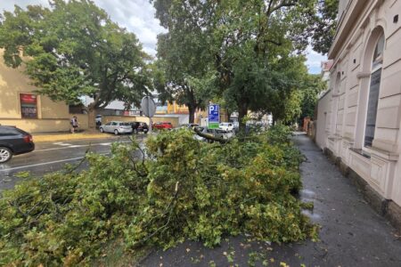Snažno nevrijeme na Kvarneru: Vatrogasci intervenirali na Rabu, u Loparu i Rijeci