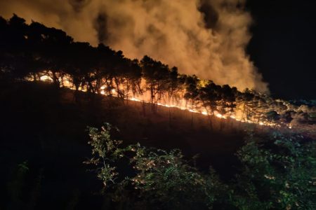Požari kod Lokve Rogoznice i na Pelješcu