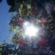 Rujan se ne predaje: Danas sunce i temperature do 27 stupnjeva
