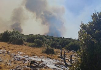 Požar na Braču: 235 vatrogasaca i 68 vozila bore se s vatrom kod Milne