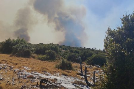 Požar na Braču: 235 vatrogasaca i 68 vozila bore se s vatrom kod Milne