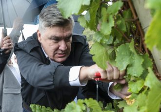 Milanović s diplomatima završio u vinogradu: ni kiša nije zaustavila berbu