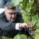 Milanović s diplomatima završio u vinogradu: ni kiša nije zaustavila berbu
