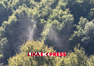 Pogledajte VIDEO: Rojevi mušica preplavili Gacku dolinu