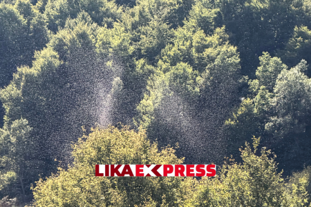 Pogledajte VIDEO: Rojevi mušica preplavili Gacku dolinu