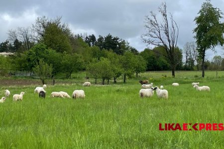 Otvoren foto natječaj „Putovima pastira i pašnjaka“, najbolje fotografije donose novčane nagrade
